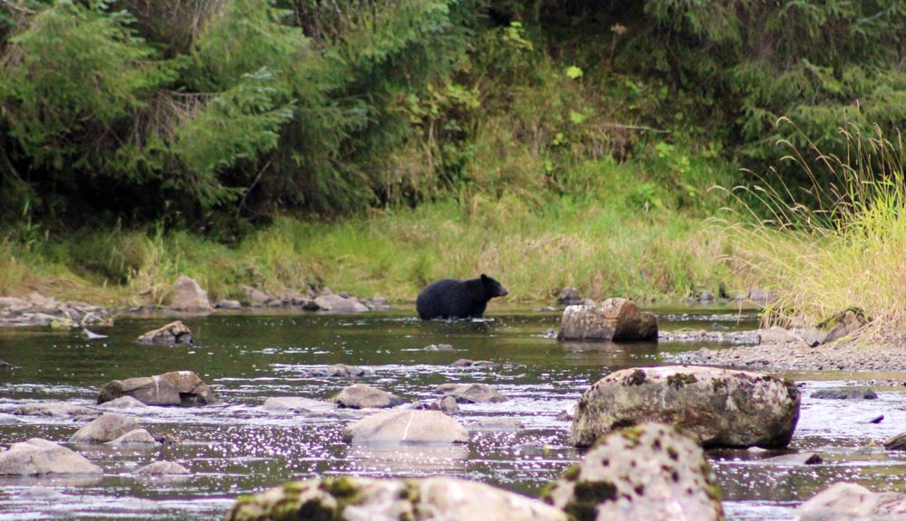 Anderson Lodge Alaska The Tackle Shack at Thorne Bay Outfitters Hunting Fishing Gear